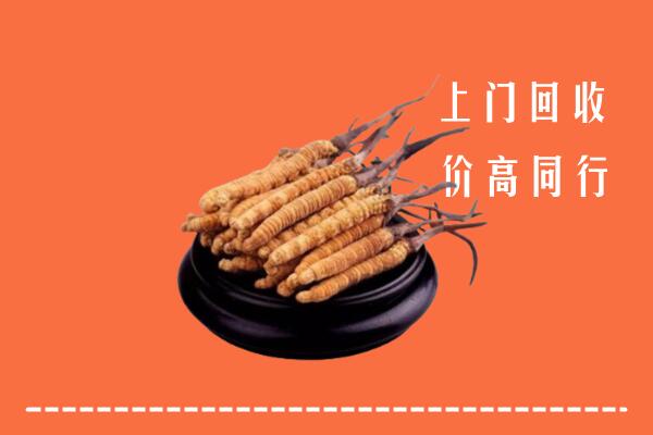 高价求购：甘孜回收散虫草